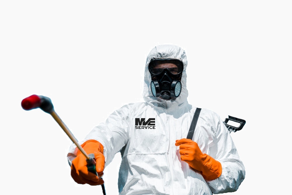 Équipe MVE Service en intervention d'hygiène