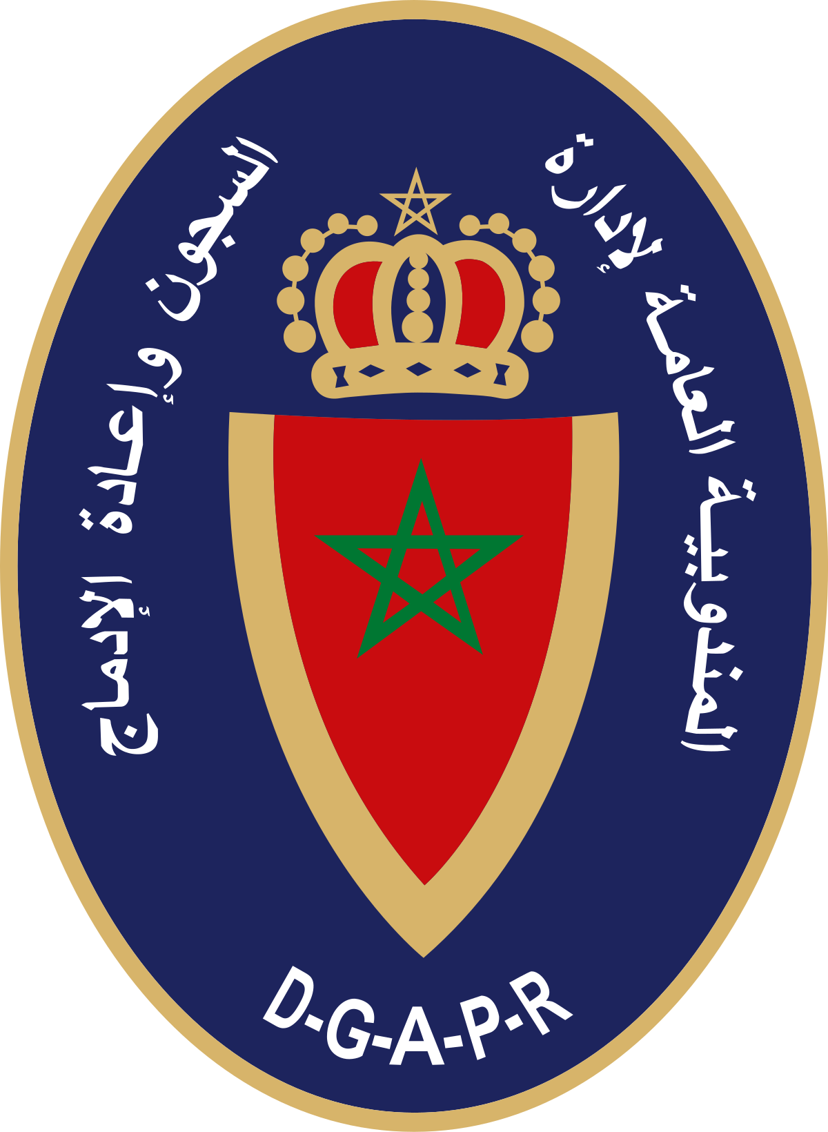 DGAPR Logo