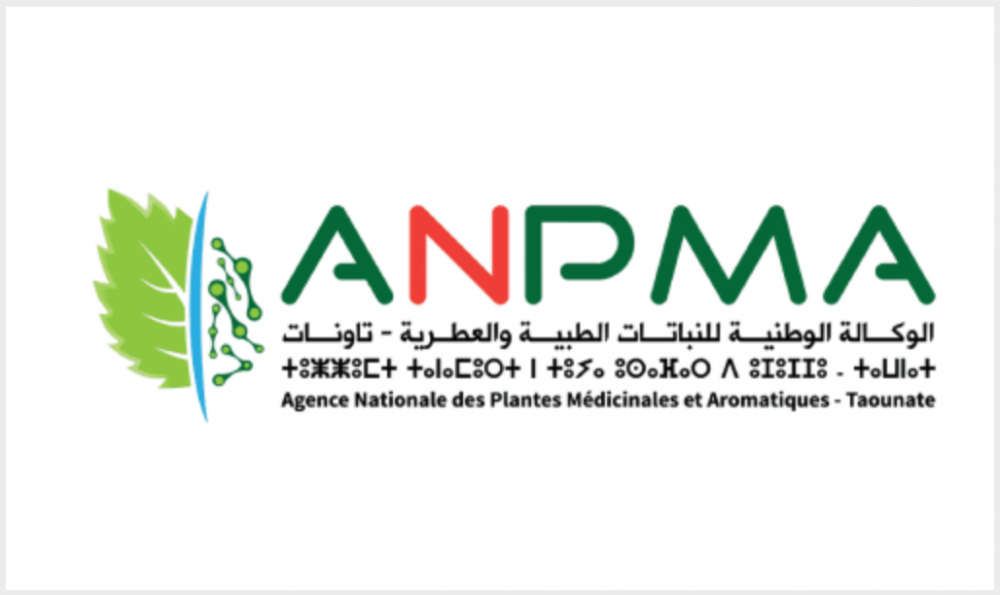 ANPMA Logo